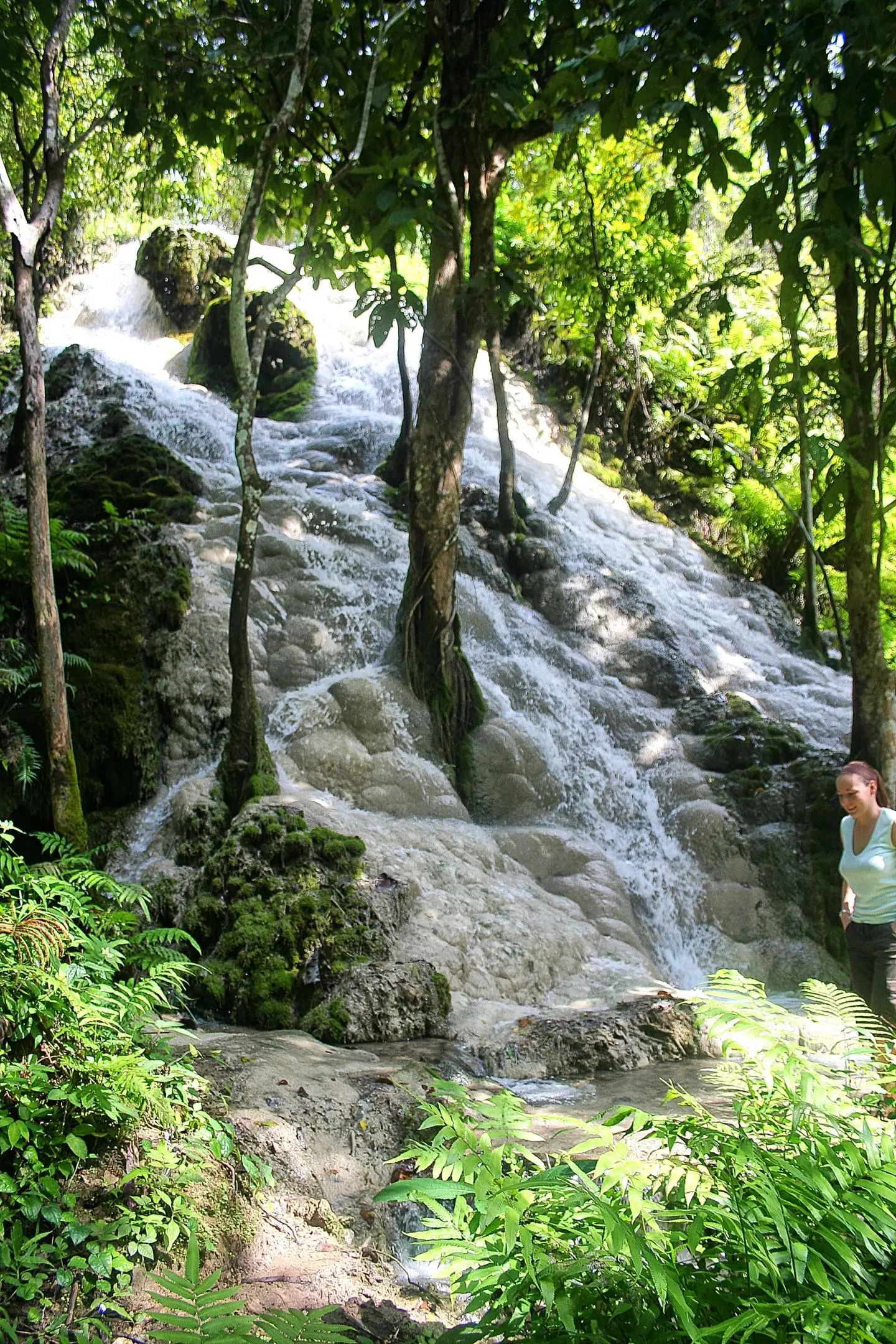 Climbing the grippy limestone of the Bua Tong Sticky Waterfalls