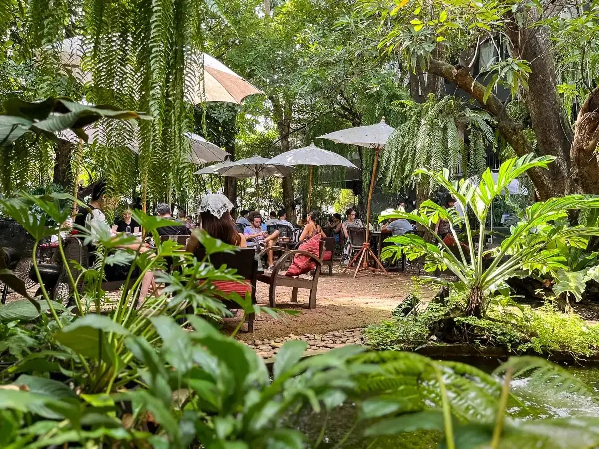 The garden at Fern Forest Cafe