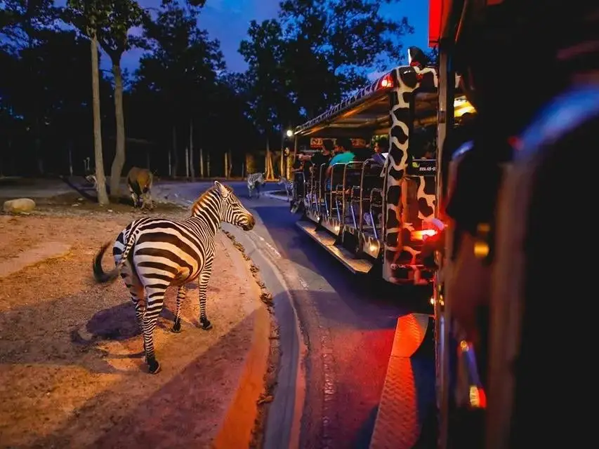 Chiang Mai Night Safari