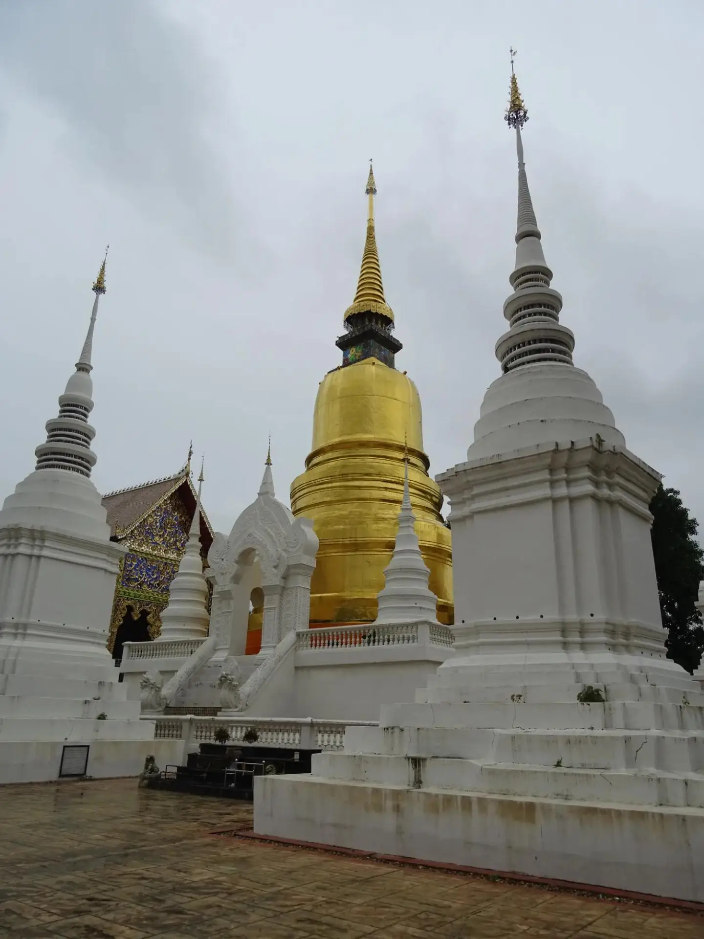The golden central chedi at Wat Suan Dok