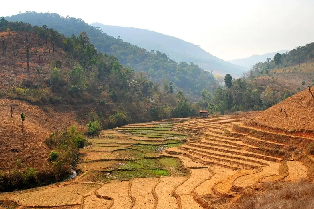 A road winding between rice terraces and mountains in northern Thailand