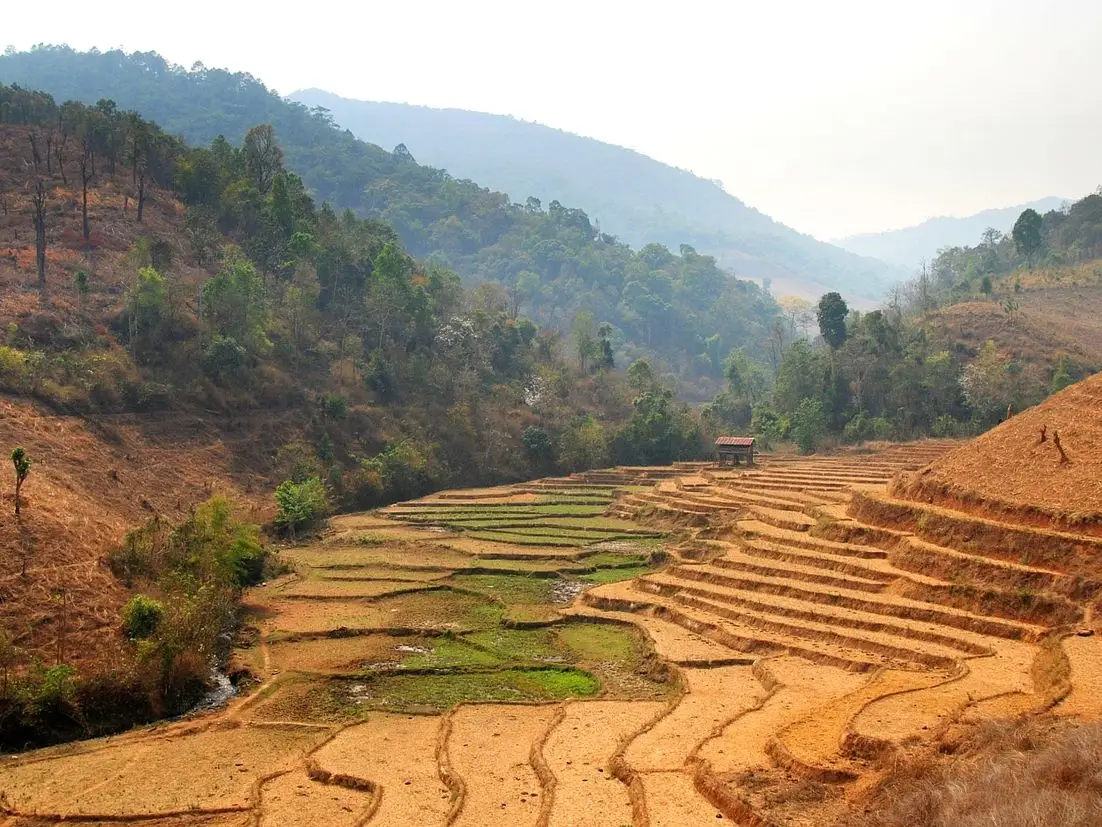 A road winding between rice terraces and mountains in northern Thailand